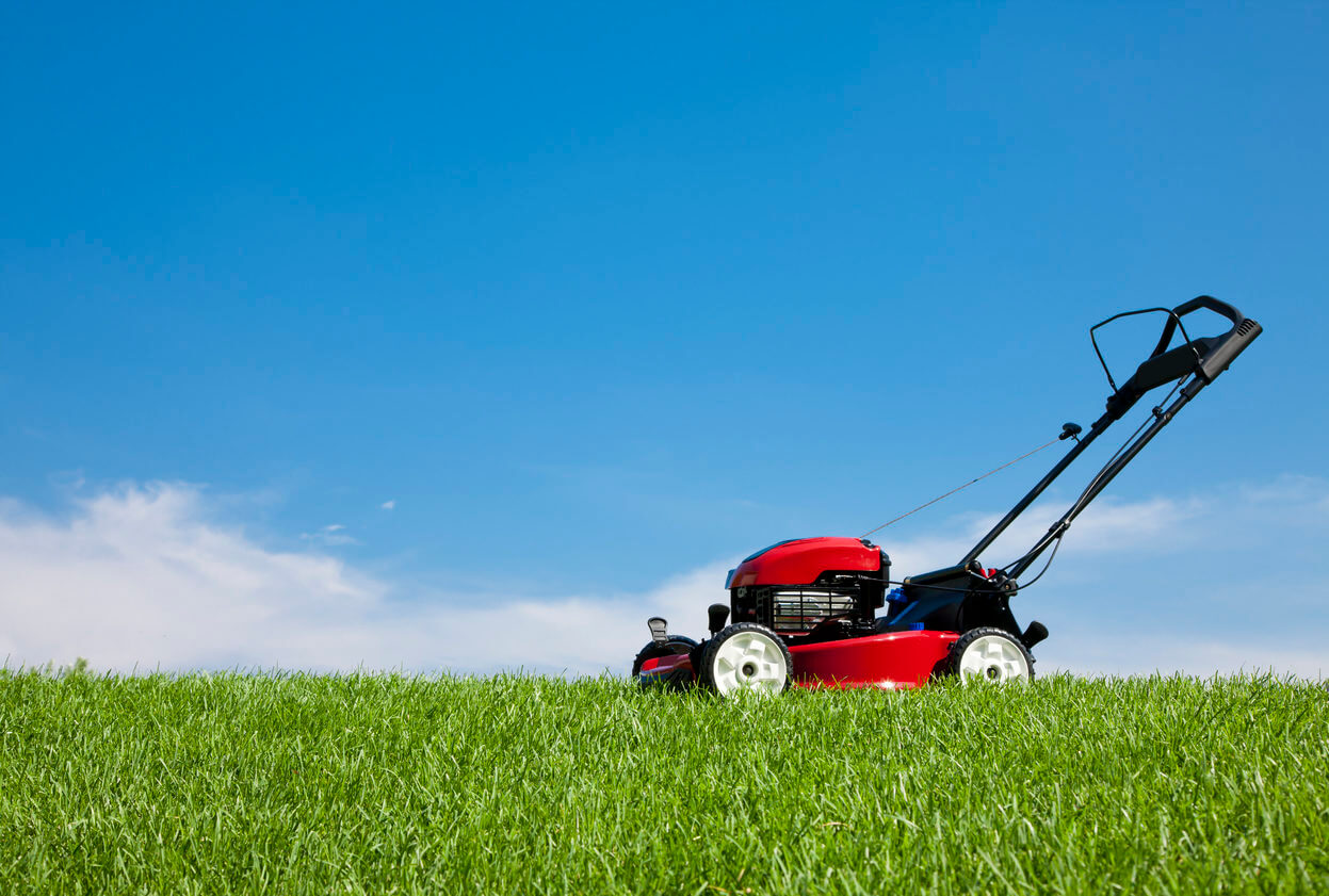 images/lawn.jpg
