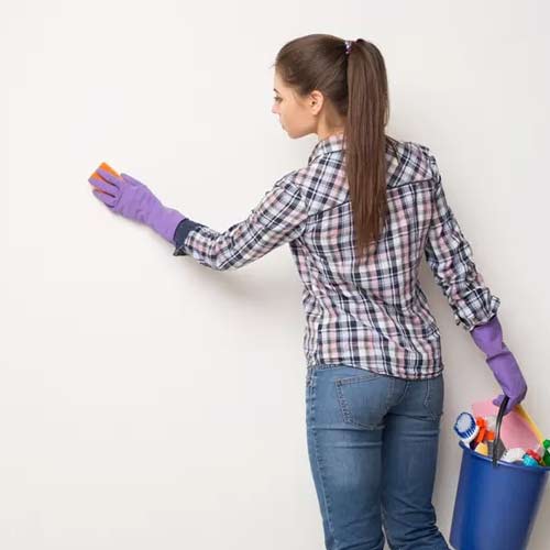 images/cobwebclean.jpg